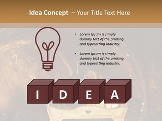 Central Life Cellar PowerPoint Template