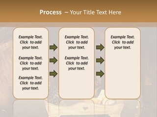 Central Life Cellar PowerPoint Template