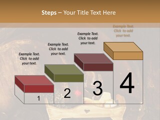 Central Life Cellar PowerPoint Template