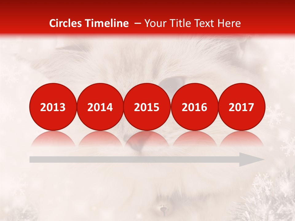 Santa Cat Cute PowerPoint Template