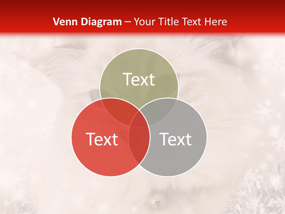 Santa Cat Cute PowerPoint Template