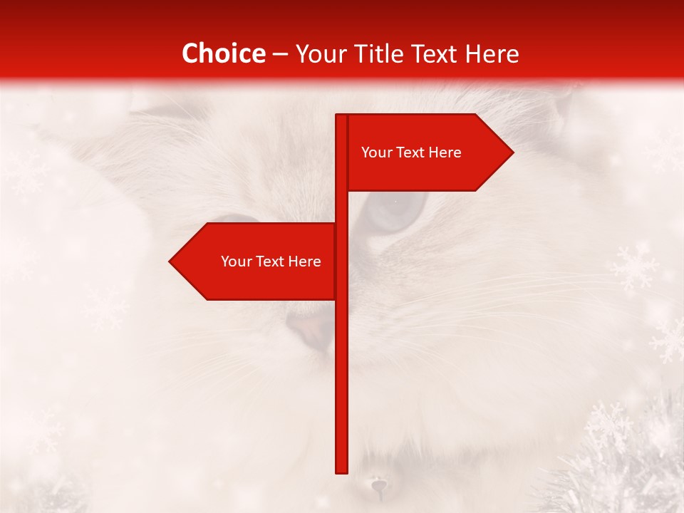 Santa Cat Cute PowerPoint Template