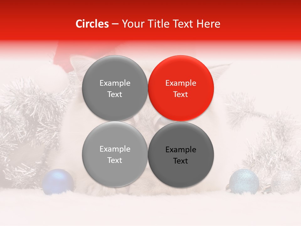 Red Tinsel Pussy PowerPoint Template