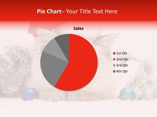 Red Tinsel Pussy PowerPoint Template