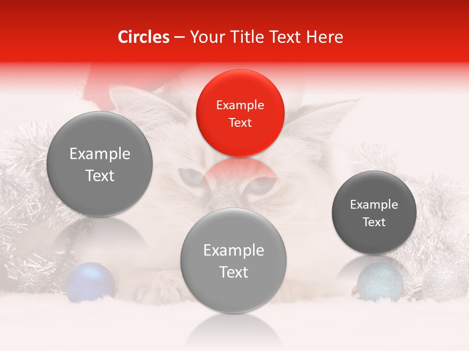 Red Tinsel Pussy PowerPoint Template