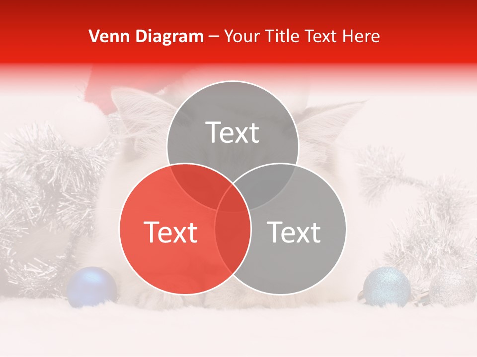 Red Tinsel Pussy PowerPoint Template
