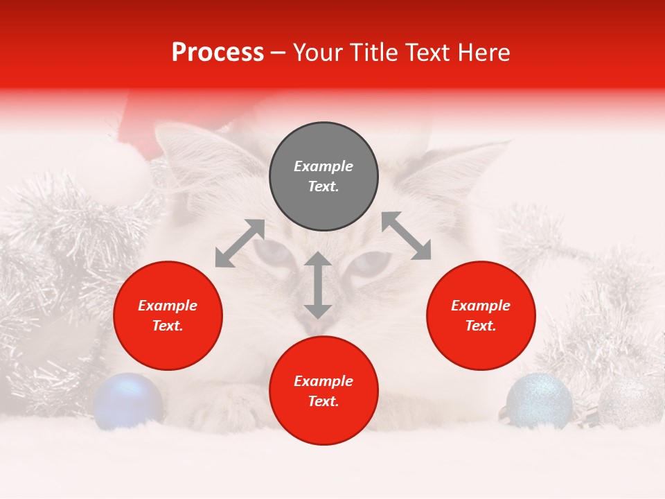 Red Tinsel Pussy PowerPoint Template