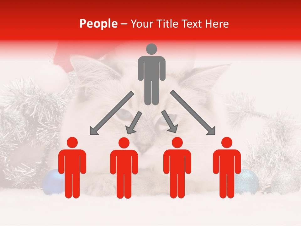 Red Tinsel Pussy PowerPoint Template