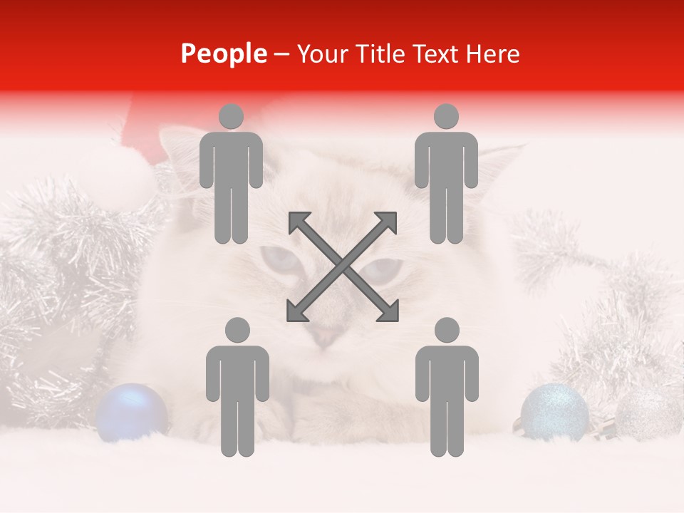 Red Tinsel Pussy PowerPoint Template