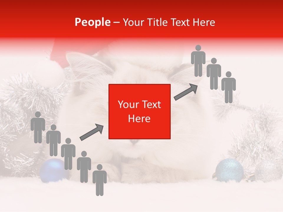 Red Tinsel Pussy PowerPoint Template