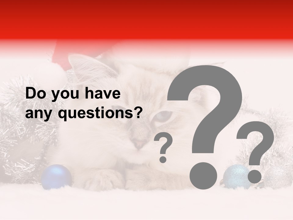 Red Tinsel Pussy PowerPoint Template