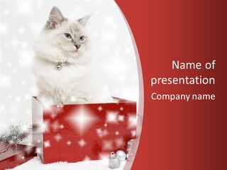 Fluffy Colour Snow PowerPoint Template