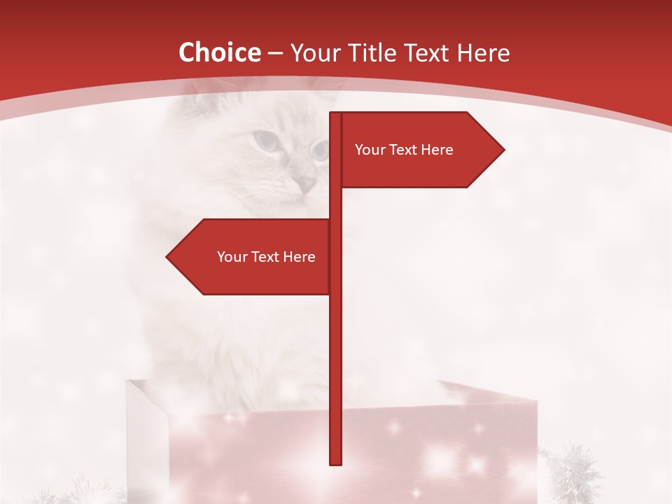 Fluffy Colour Snow PowerPoint Template