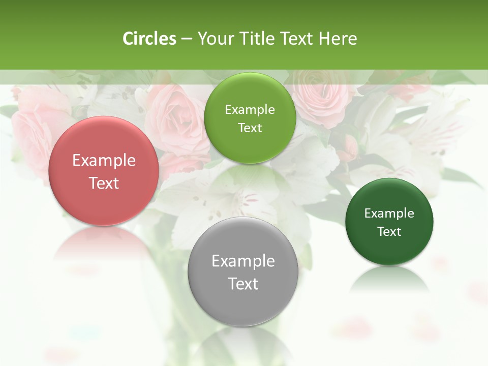 Beautiful Blooming Rosa PowerPoint Template