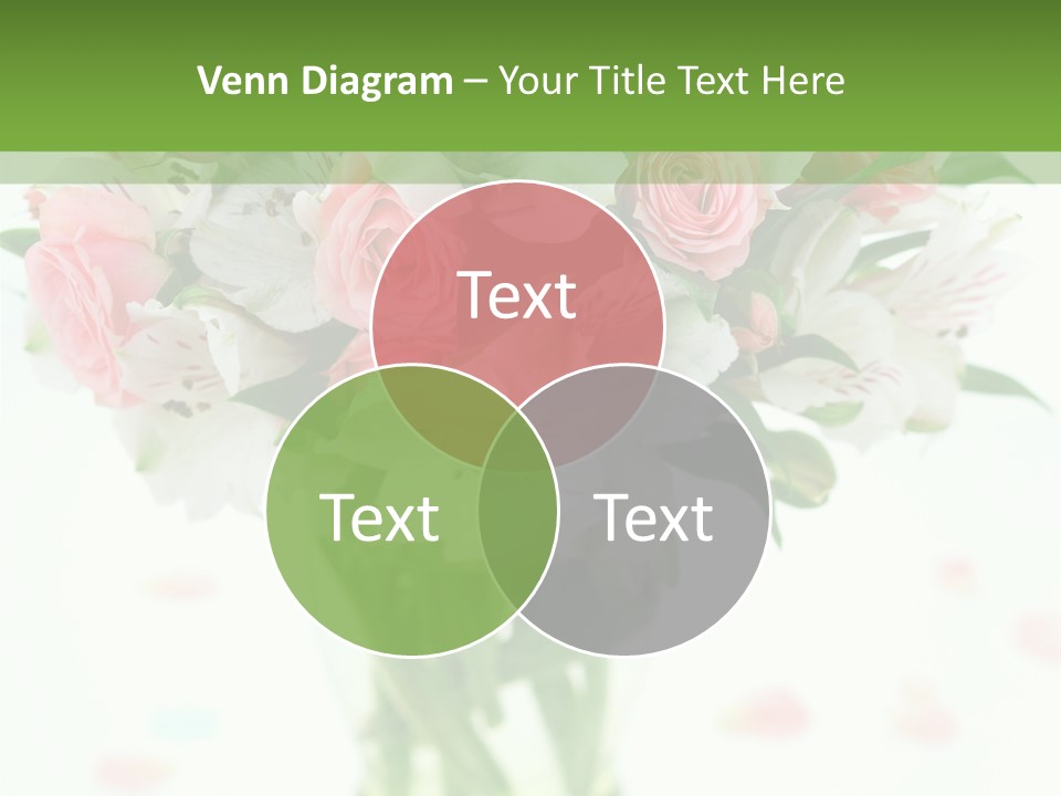 Beautiful Blooming Rosa PowerPoint Template