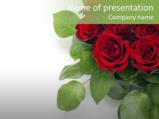 Leaf Bunch Red PowerPoint Template