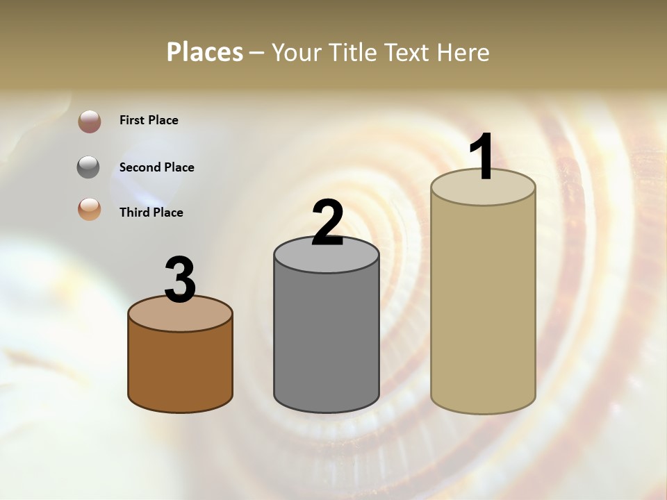 Background Objects Life PowerPoint Template