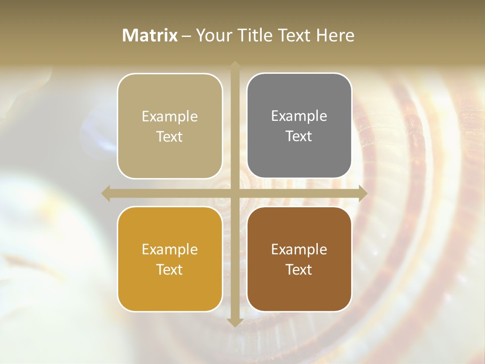 Background Objects Life PowerPoint Template