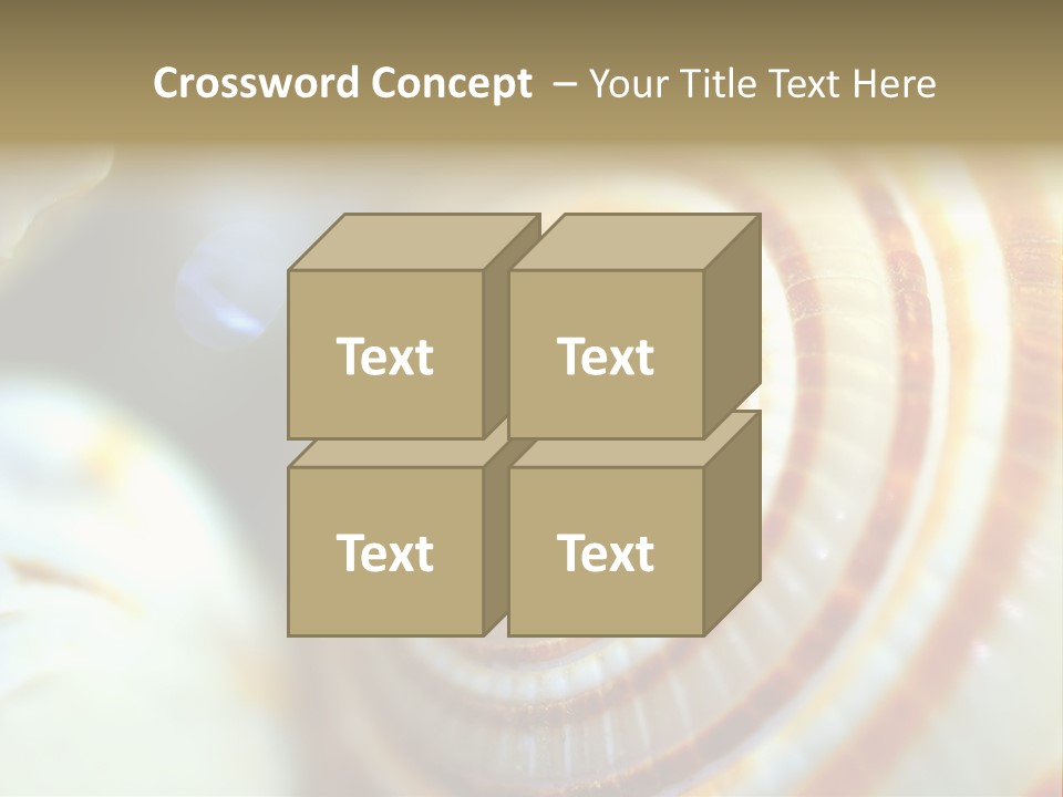 Background Objects Life PowerPoint Template