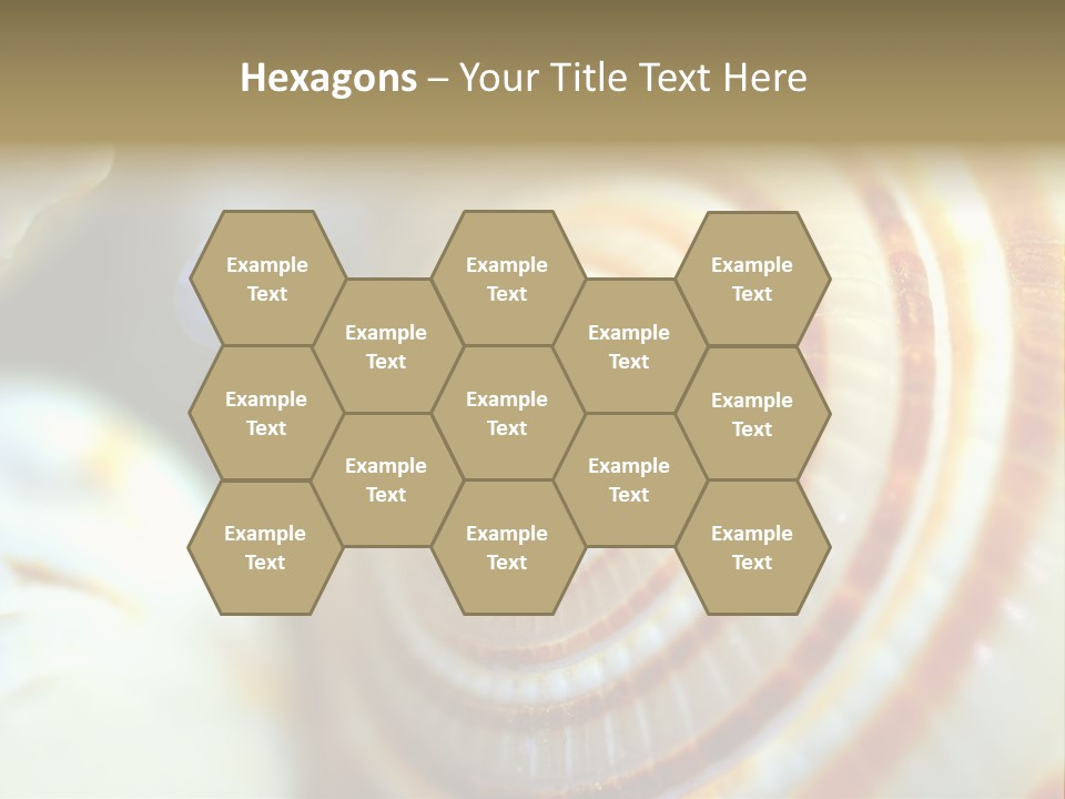 Background Objects Life PowerPoint Template