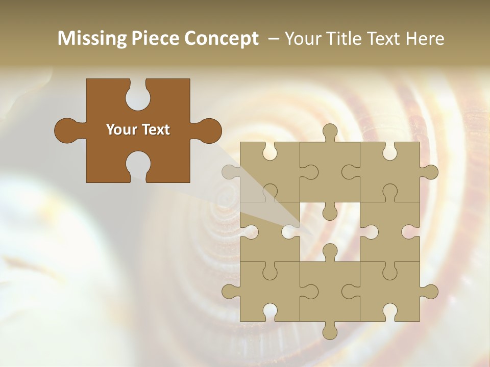 Background Objects Life PowerPoint Template