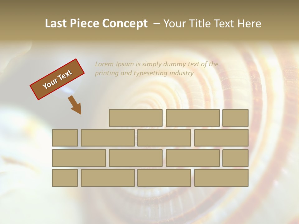 Background Objects Life PowerPoint Template