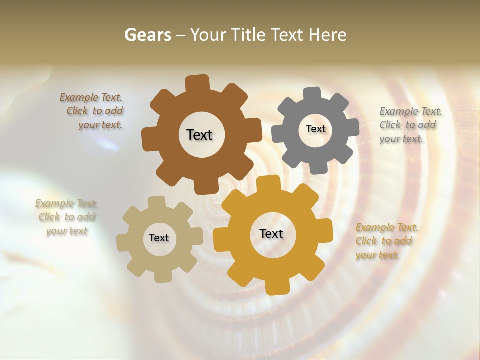 Background Objects Life PowerPoint Template