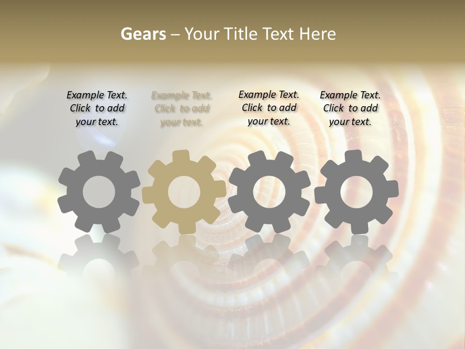 Background Objects Life PowerPoint Template