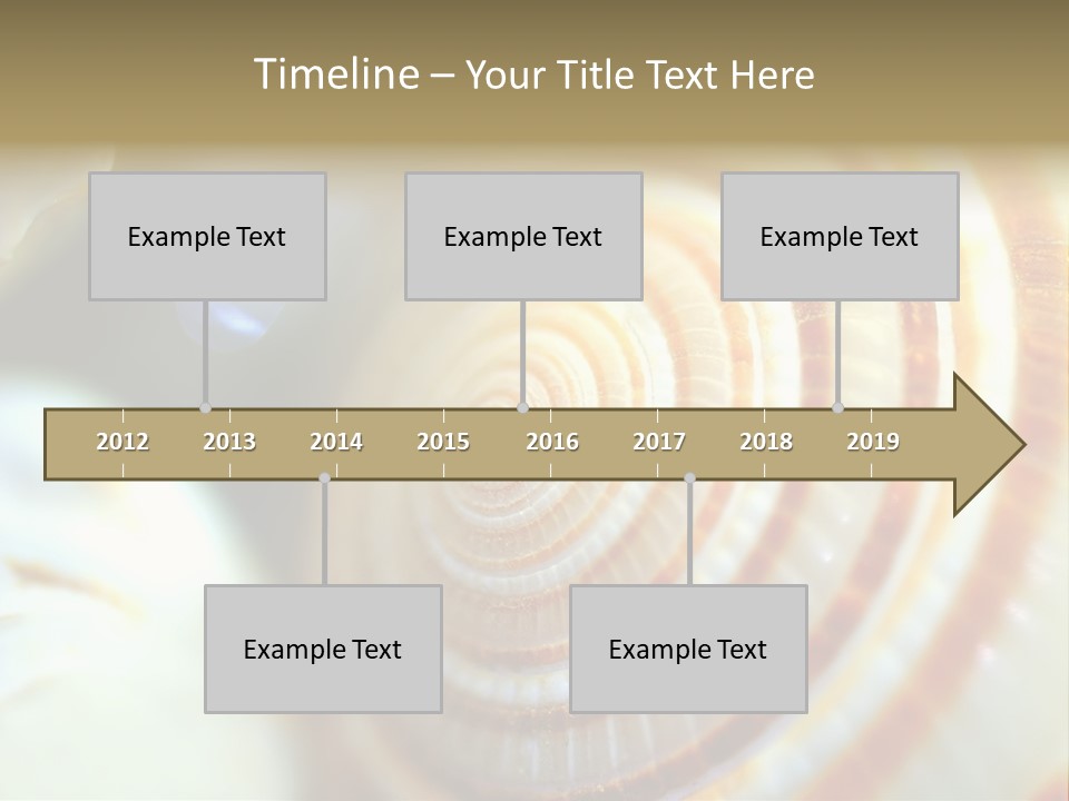 Background Objects Life PowerPoint Template