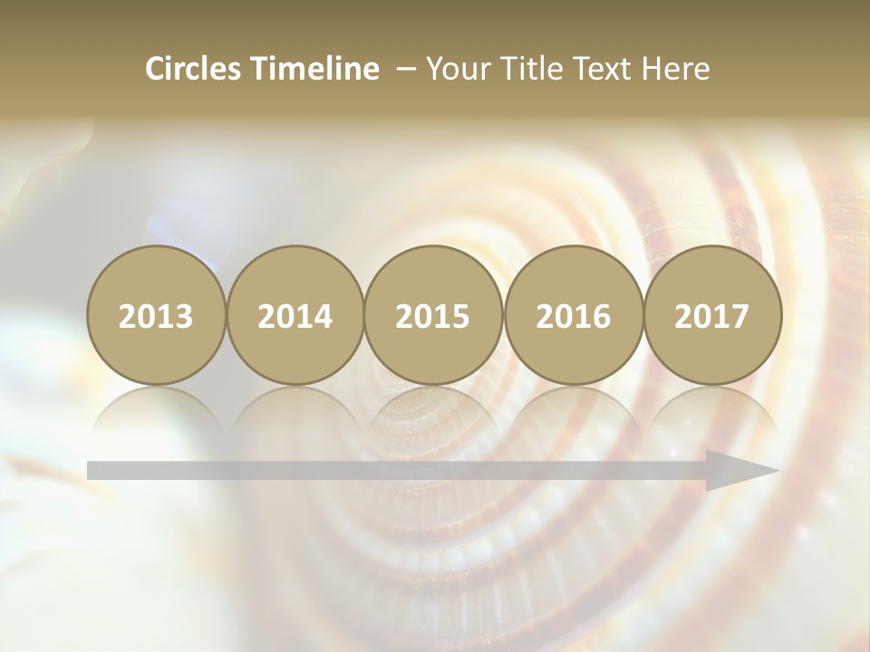 Background Objects Life PowerPoint Template