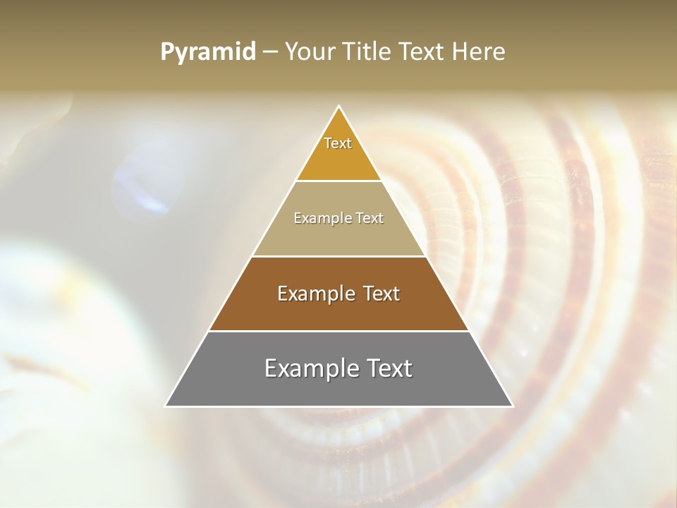 Background Objects Life PowerPoint Template