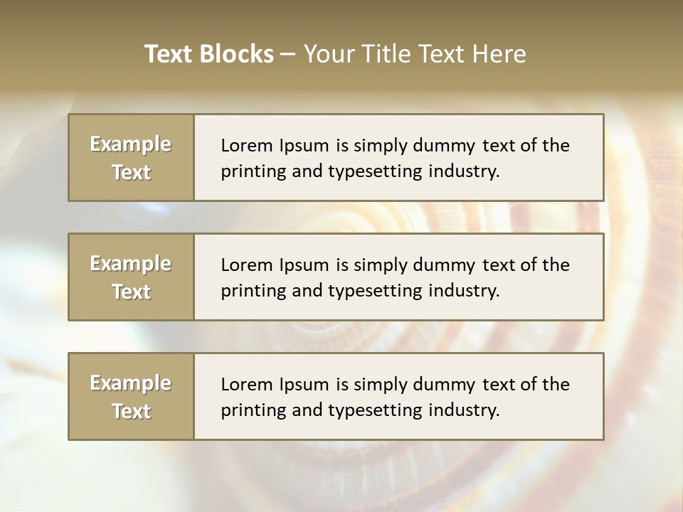 Background Objects Life PowerPoint Template