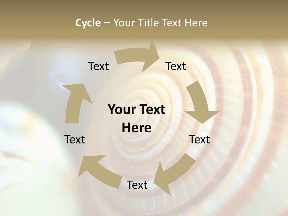 Background Objects Life PowerPoint Template