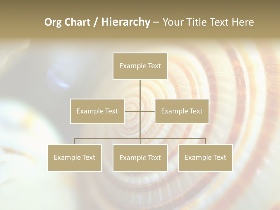 Background Objects Life PowerPoint Template