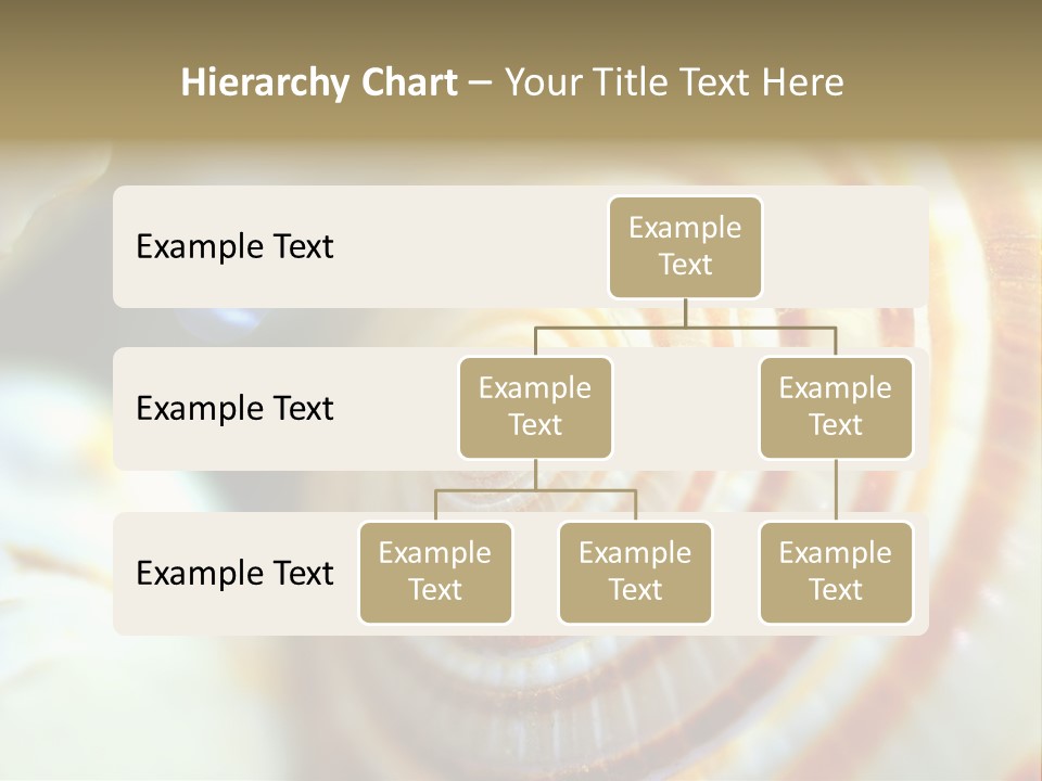 Background Objects Life PowerPoint Template