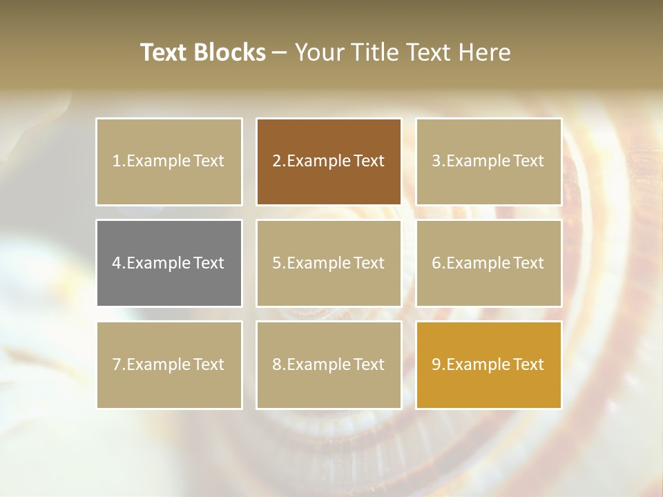 Background Objects Life PowerPoint Template