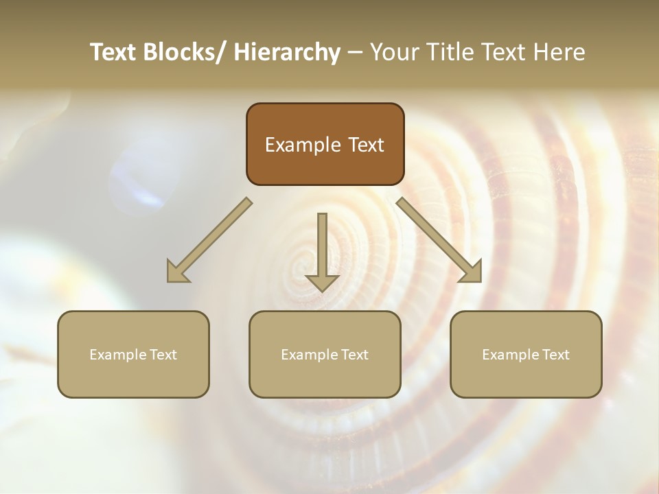 Background Objects Life PowerPoint Template
