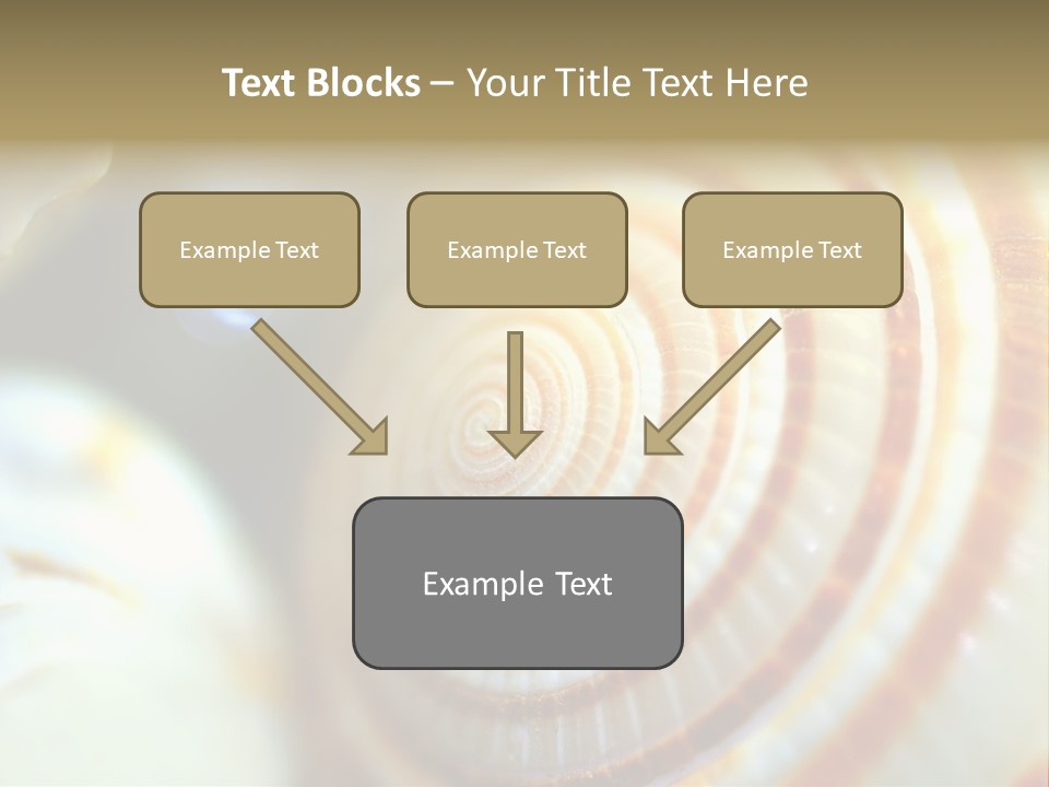 Background Objects Life PowerPoint Template