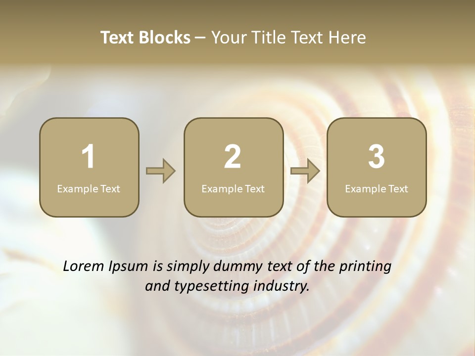 Background Objects Life PowerPoint Template