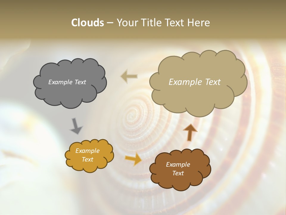 Background Objects Life PowerPoint Template