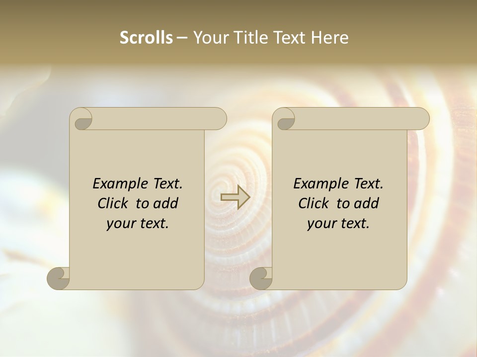 Background Objects Life PowerPoint Template