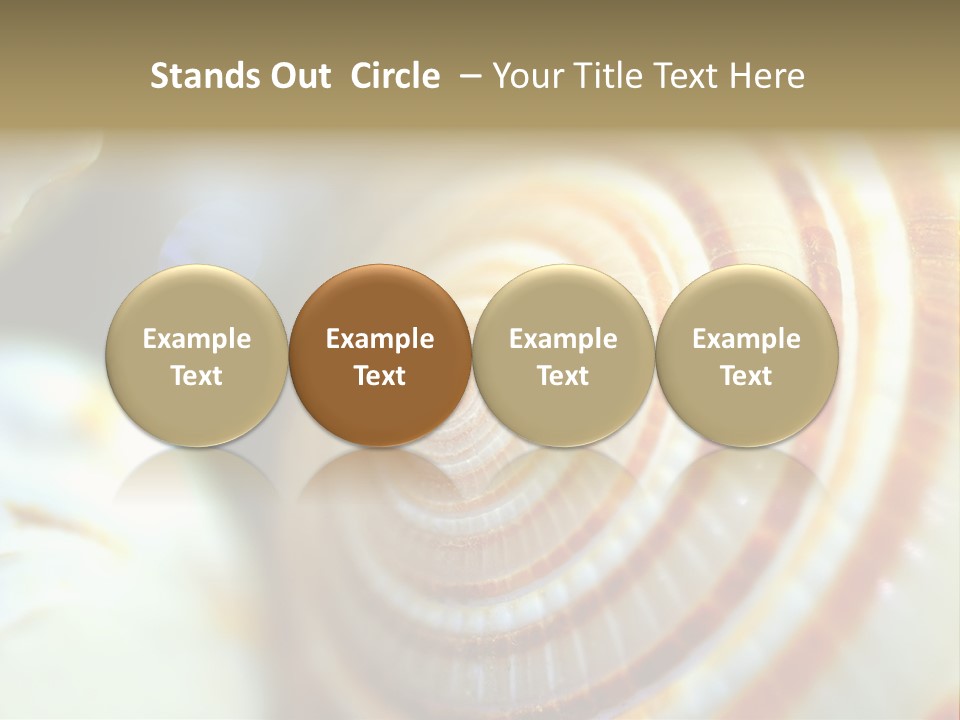 Background Objects Life PowerPoint Template