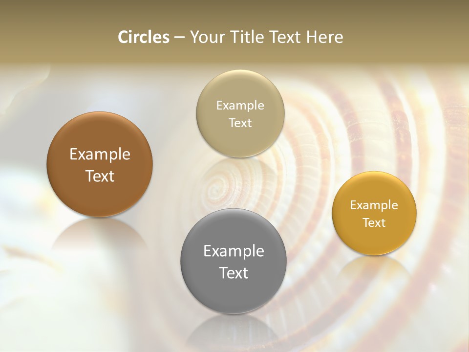 Background Objects Life PowerPoint Template