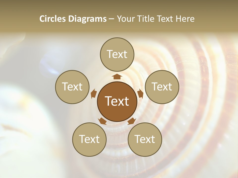 Background Objects Life PowerPoint Template