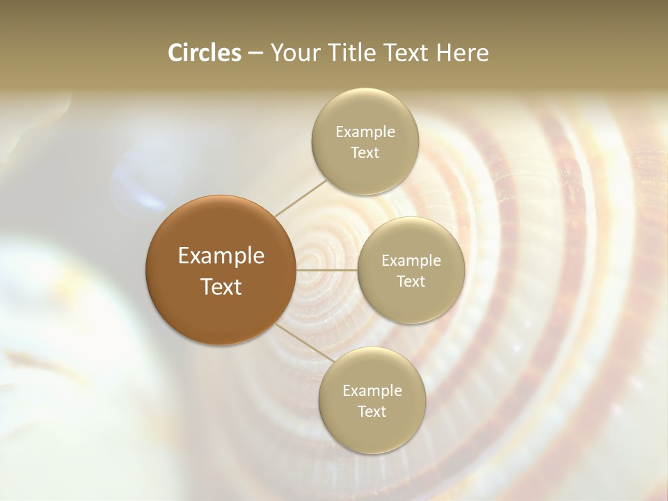 Background Objects Life PowerPoint Template