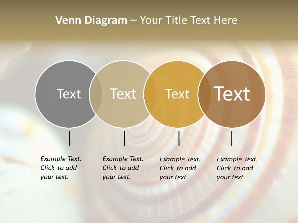 Background Objects Life PowerPoint Template