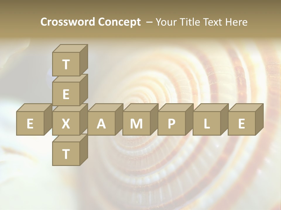 Background Objects Life PowerPoint Template