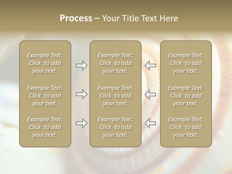 Background Objects Life PowerPoint Template