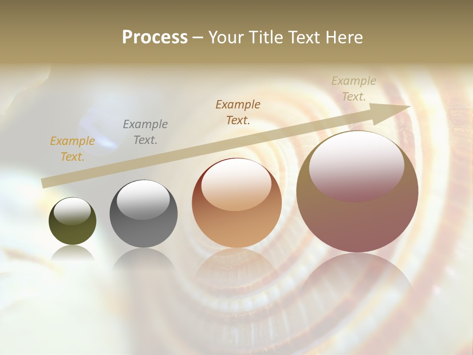 Background Objects Life PowerPoint Template