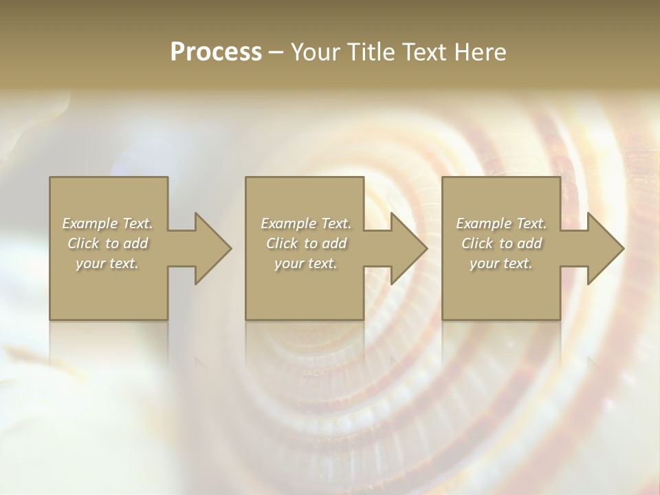 Background Objects Life PowerPoint Template